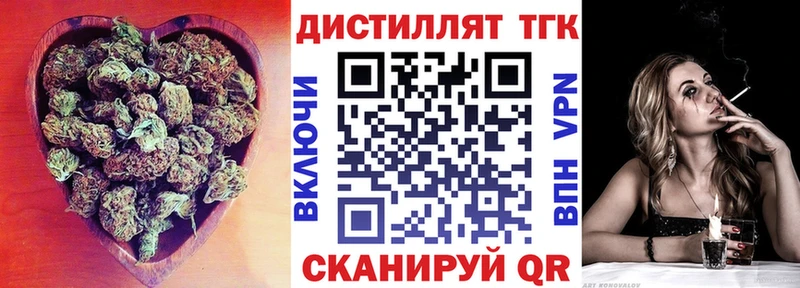 Купить где  Городище  ТГК концентрат 
