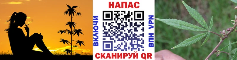 Купить закладки  Городище  Шишки марихуана конопля 